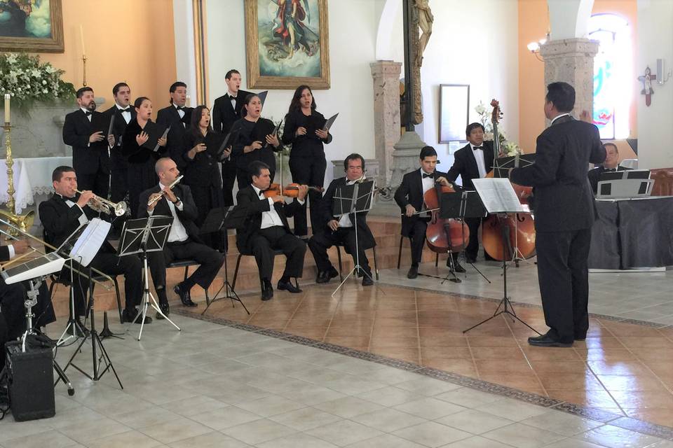 8 voces, 9 músicos y Director