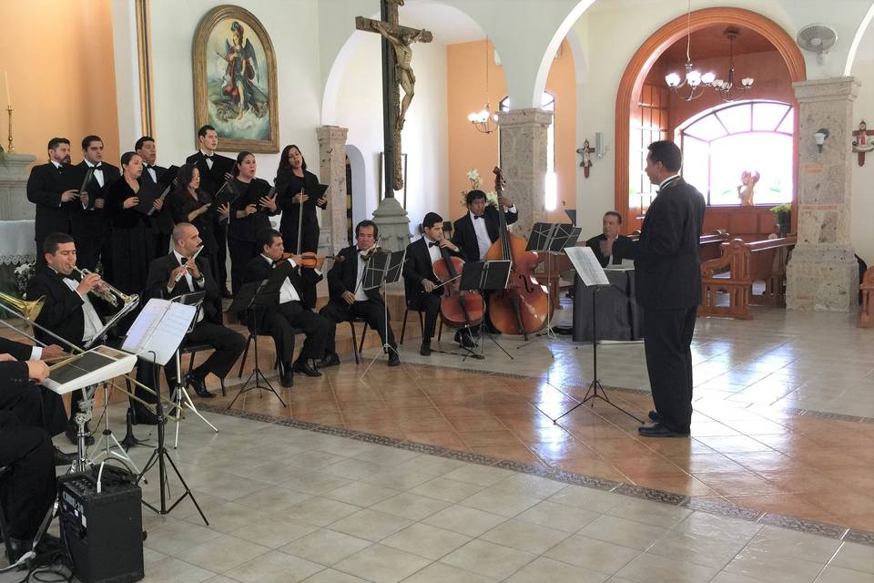 8 voces, 9 músicos y Director