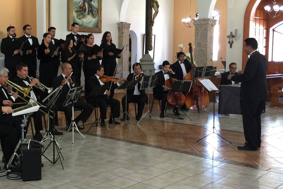 8 voces, 9 músicos y Director