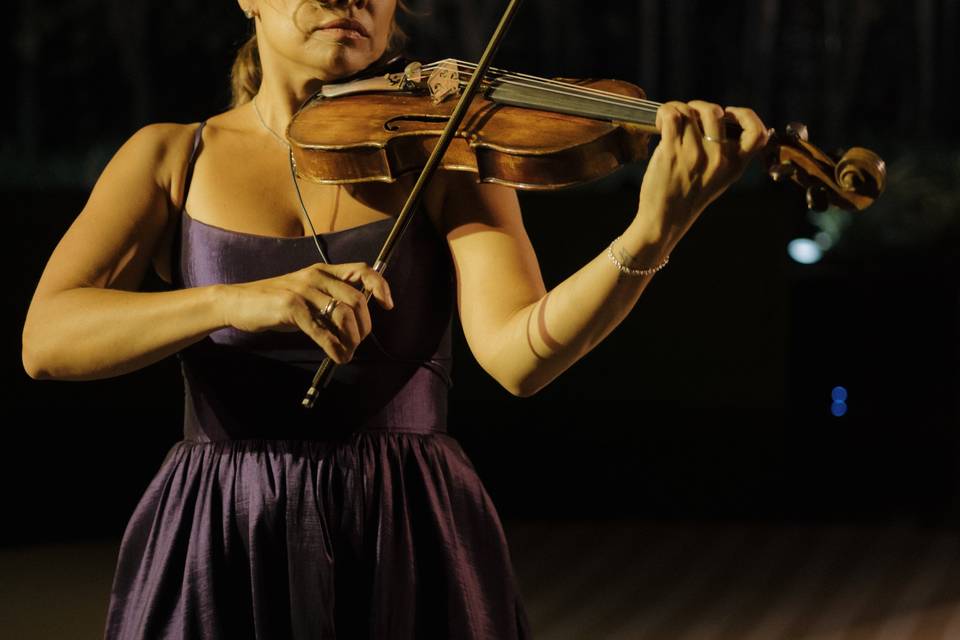 Violín