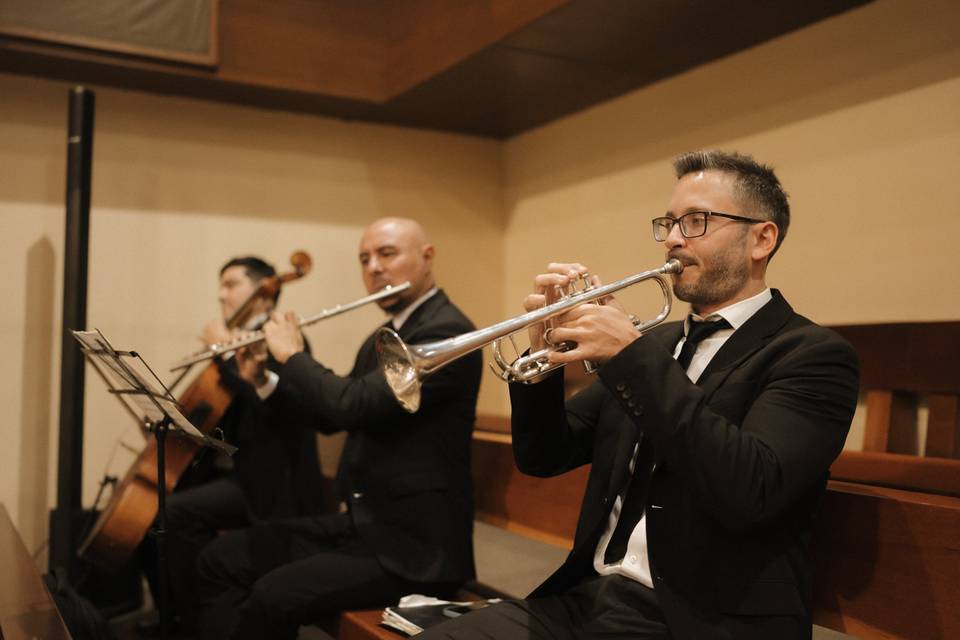 Benedictus pop 10 artistas