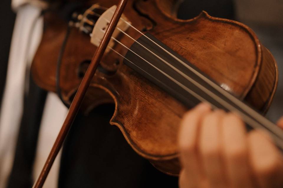 Benedictus clásico 5 artistas