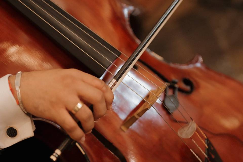 Benedictus clásico 5 artistas