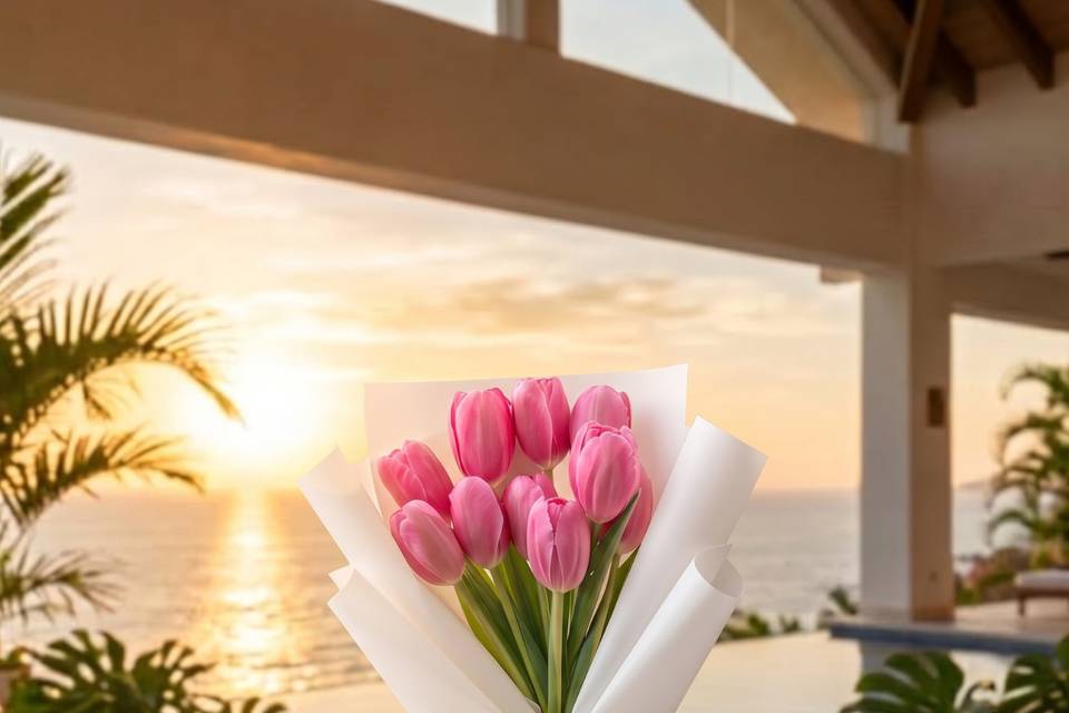 Oasis de tulipan