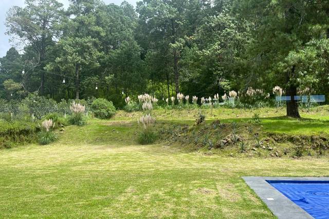La Malenita Jardin de Eventos