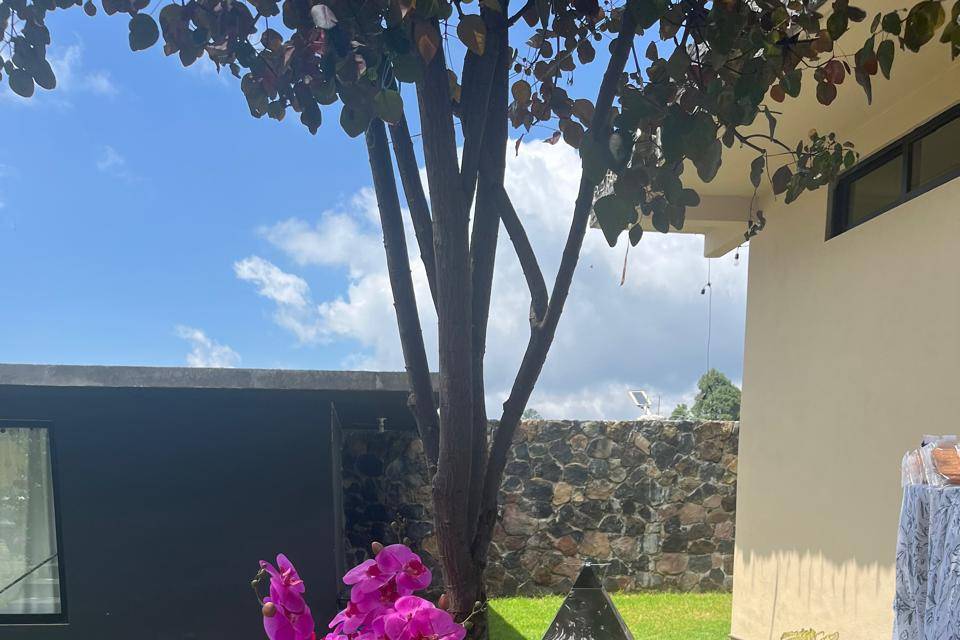 Jardin para bodas