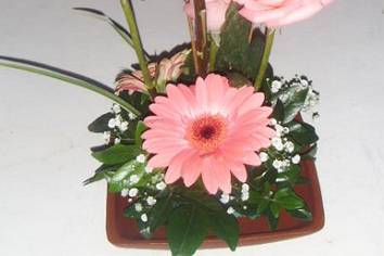 Gerberas y rosas