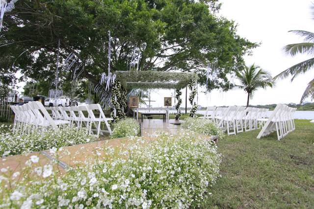 Campestre tampico