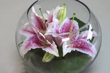 Arreglo con orquídea