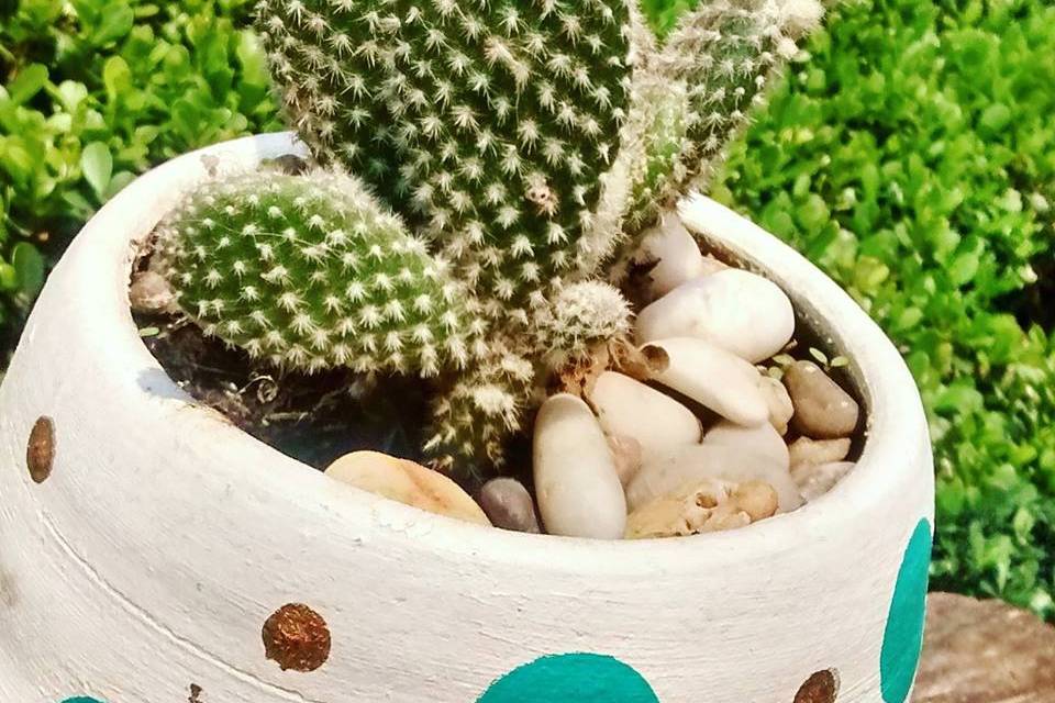 Decoración cactus