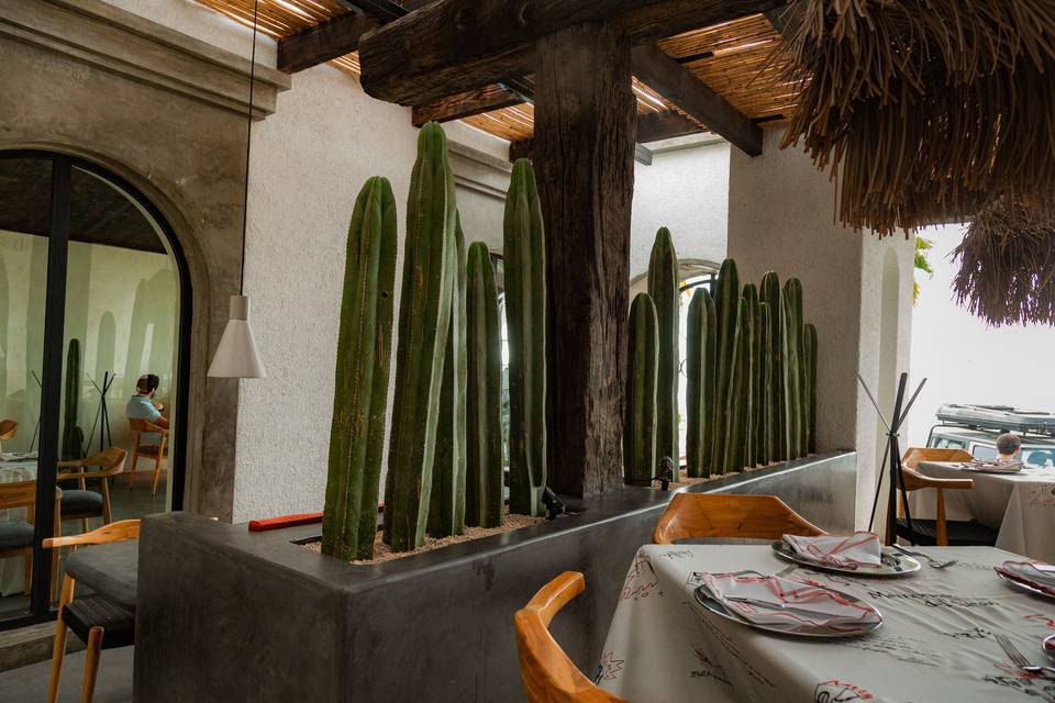 Interior con mesas y cactus