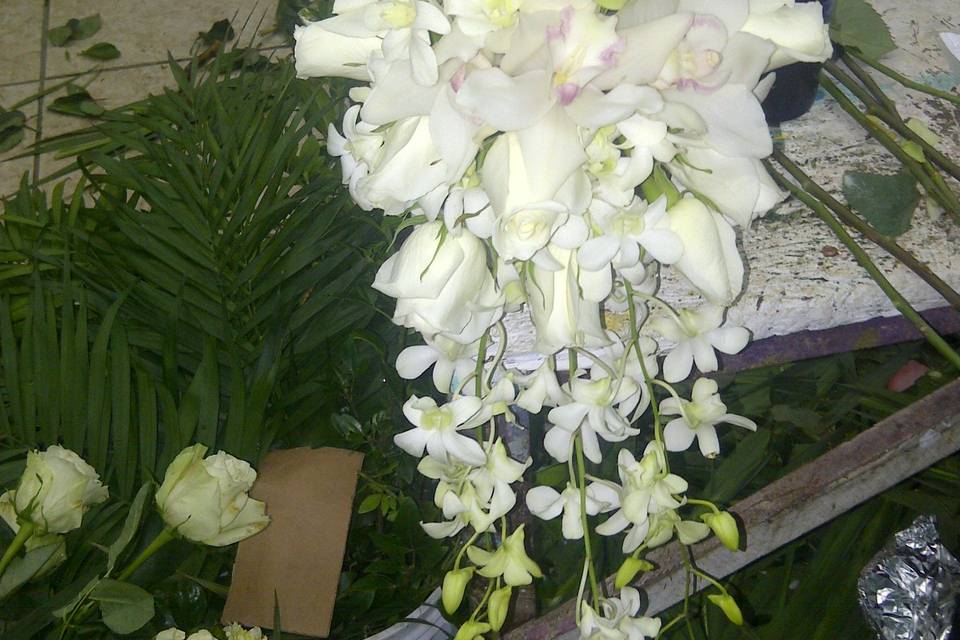 Florería Orquídeas Cozumel