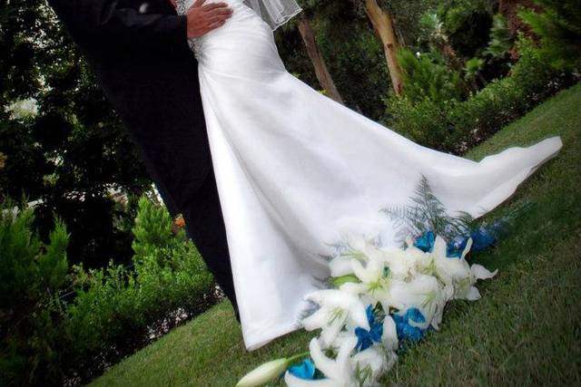 El amor de los novios