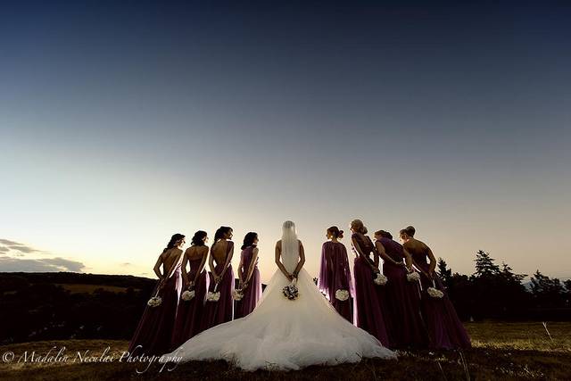 La novia con las damas