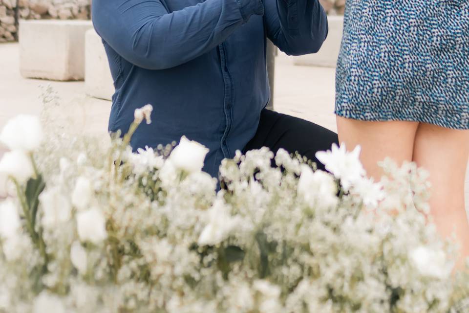 Pedida de matrimonio