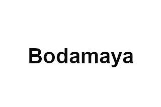 Bodamaya