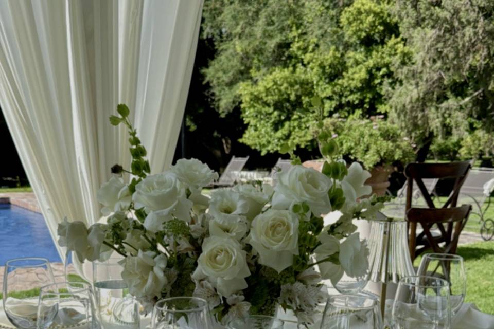 Bodas