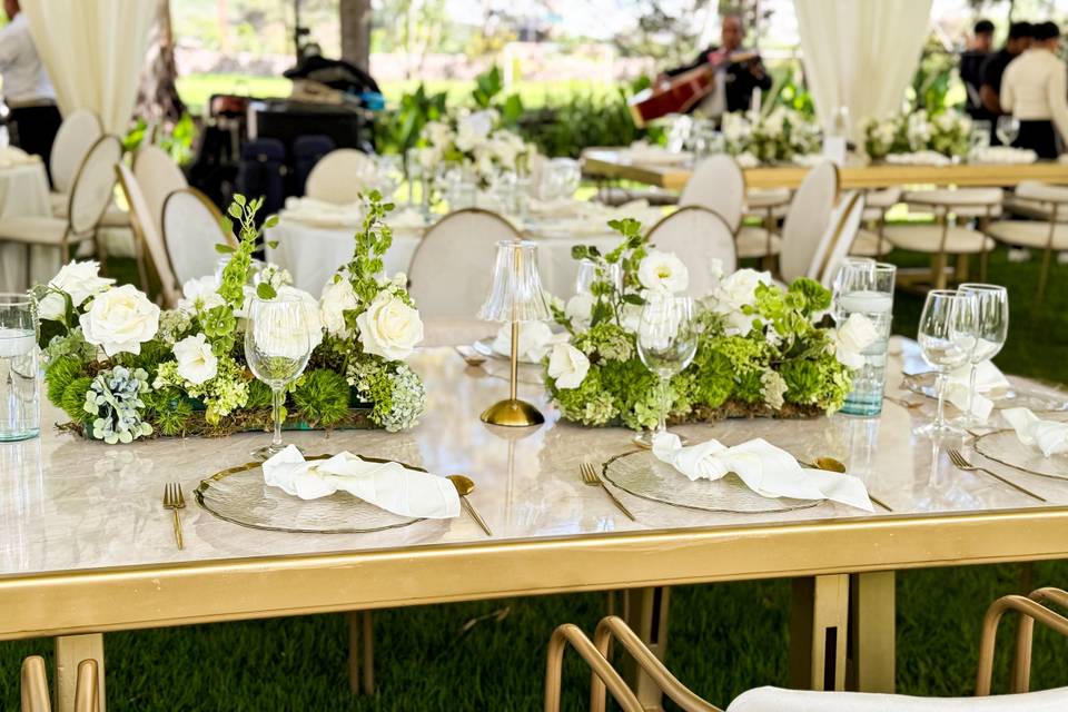 Bodas
