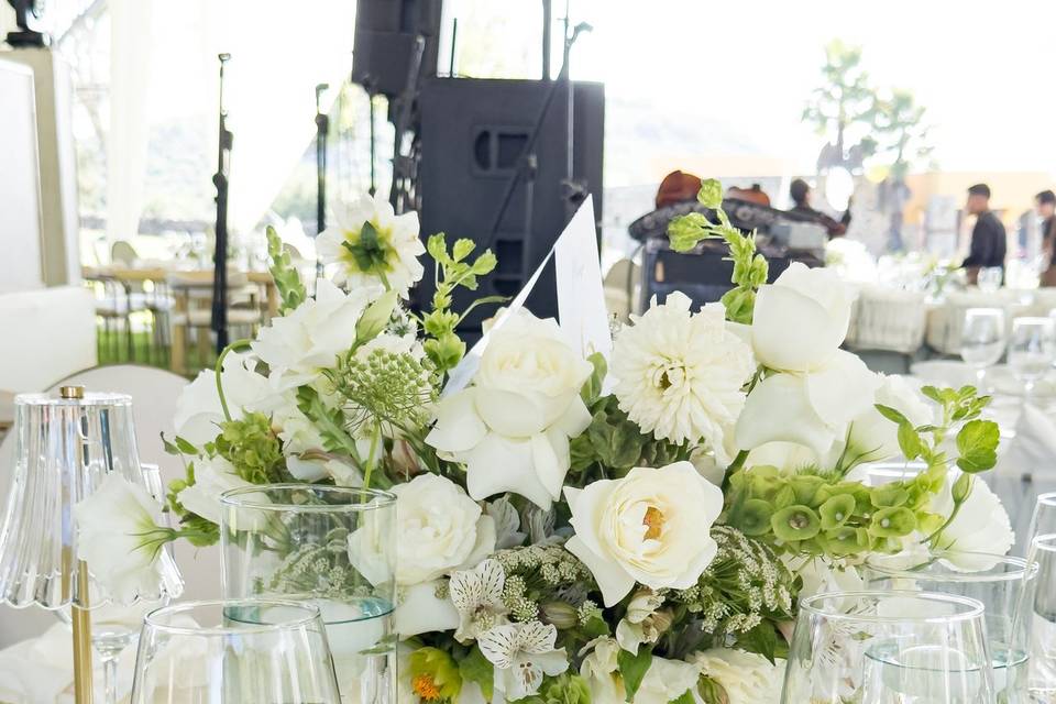 Bodas