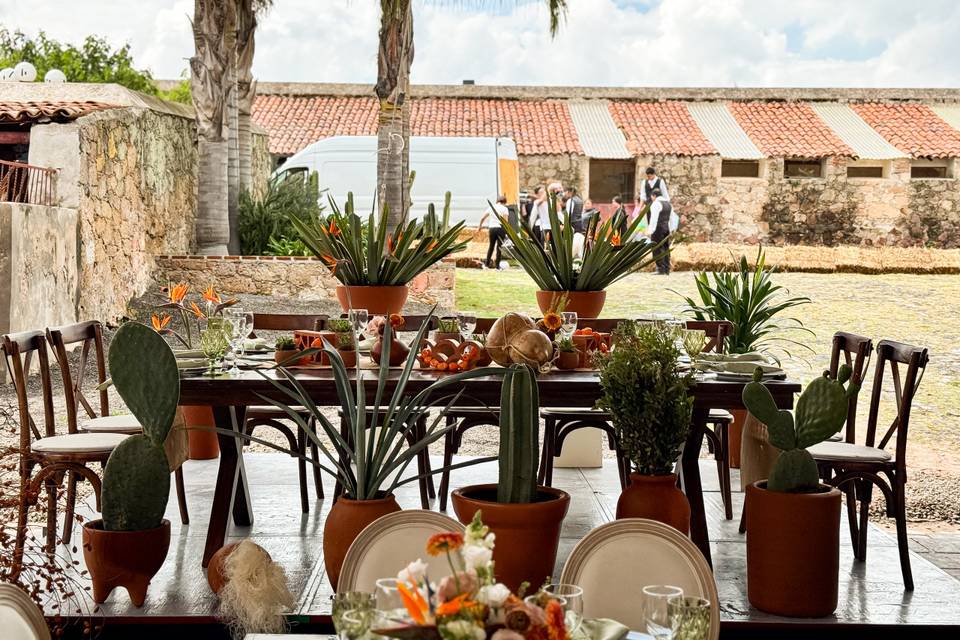 Bodas