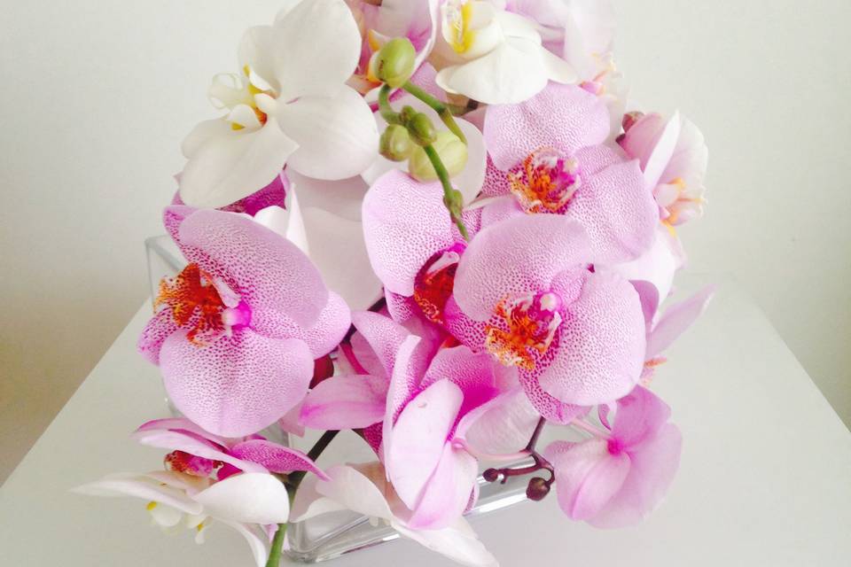 Ramo novia orquídeas