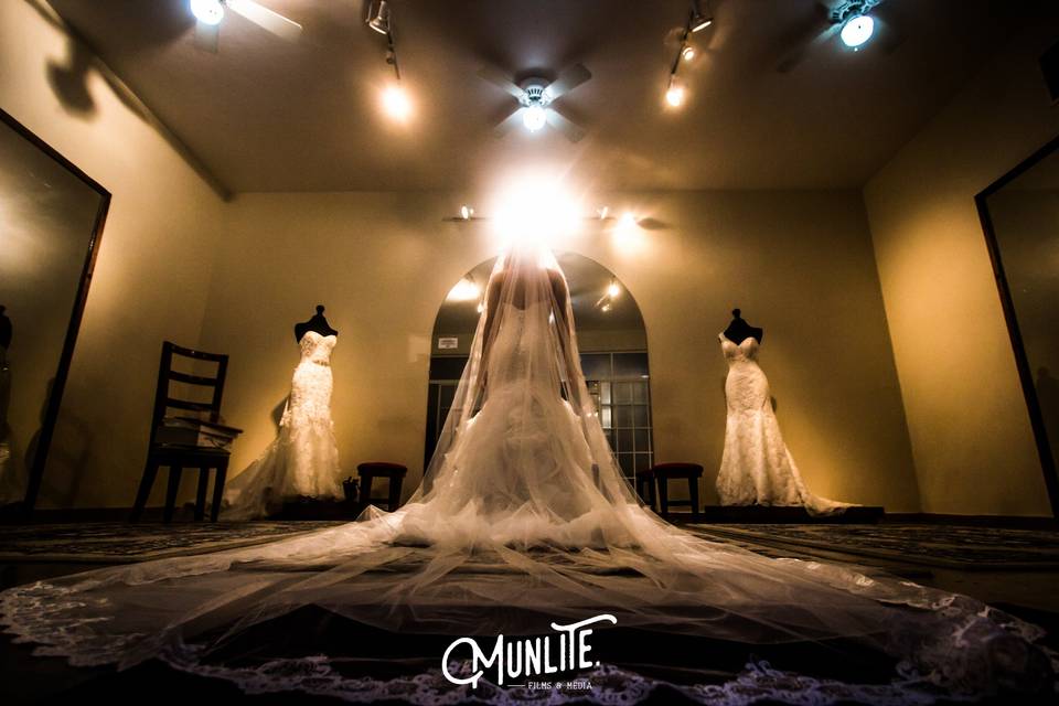 Munlite films & media