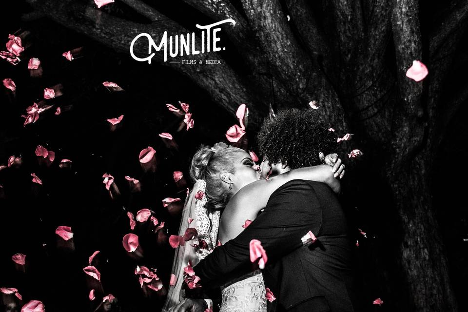 Munlite films & media