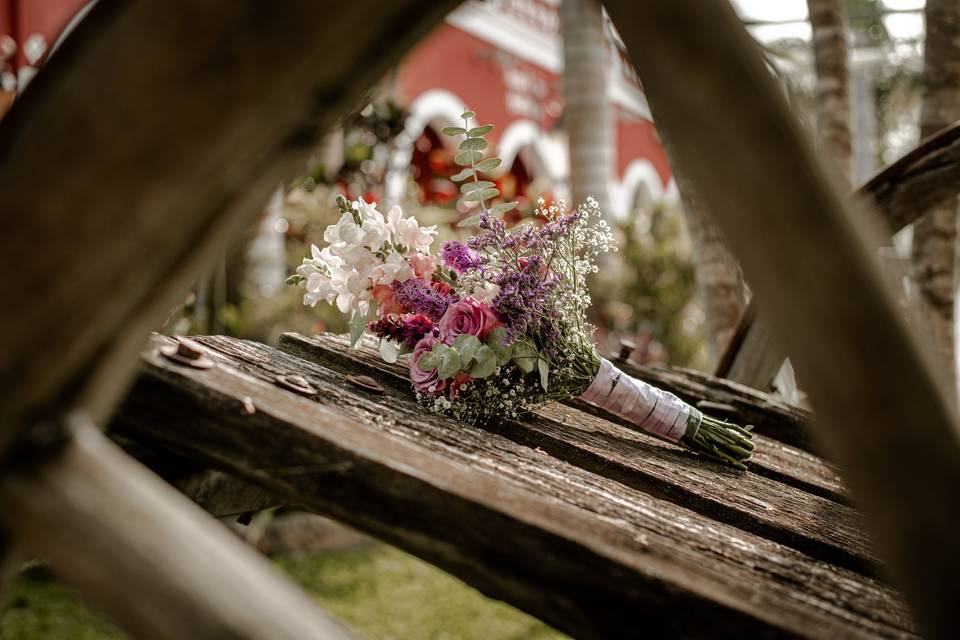 Alfonso Mena Fotografía