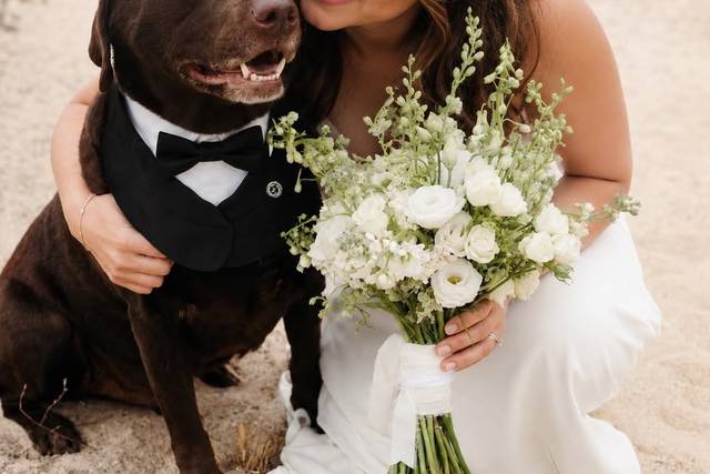 Itzel Wan - Pet Wedding Sitter