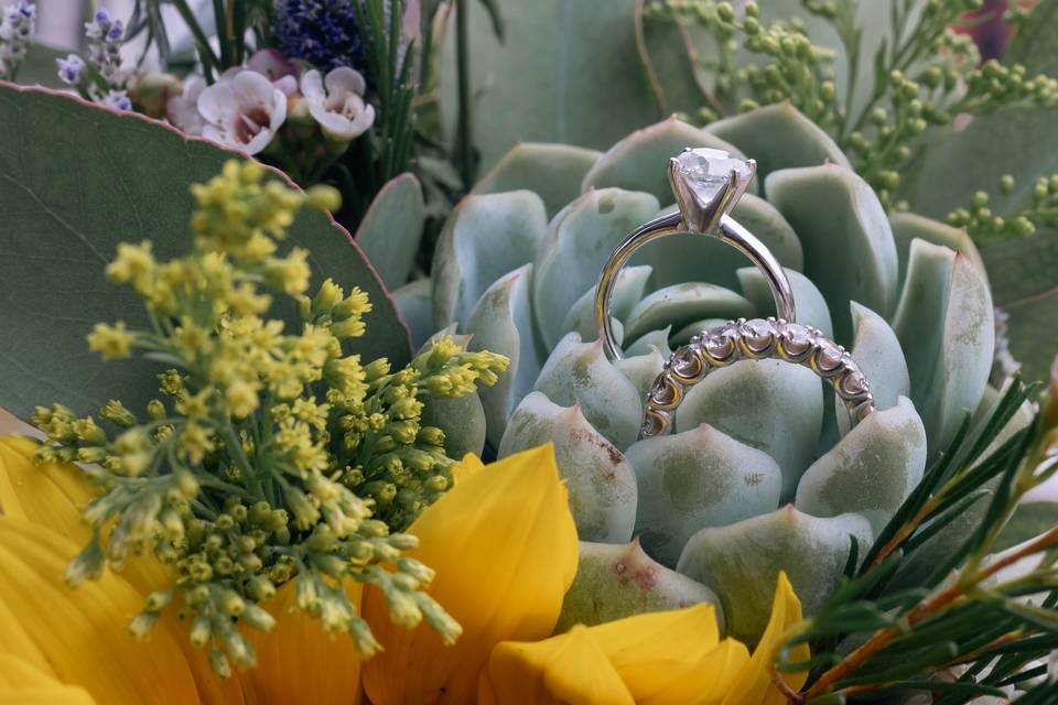 Bodas by Bs