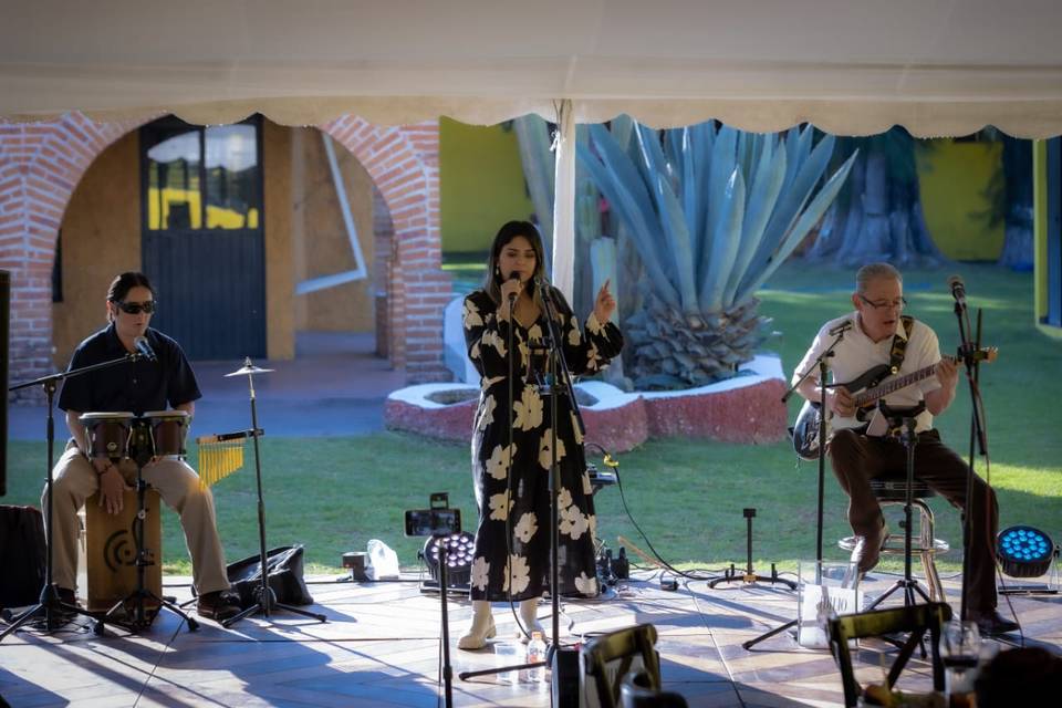 Música para tu evento