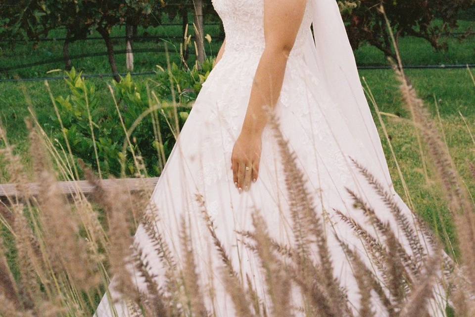 BODA ALANIS SMA