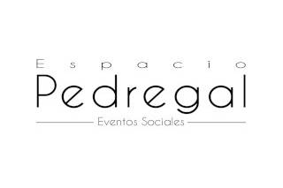 Espacio Pedregal logo