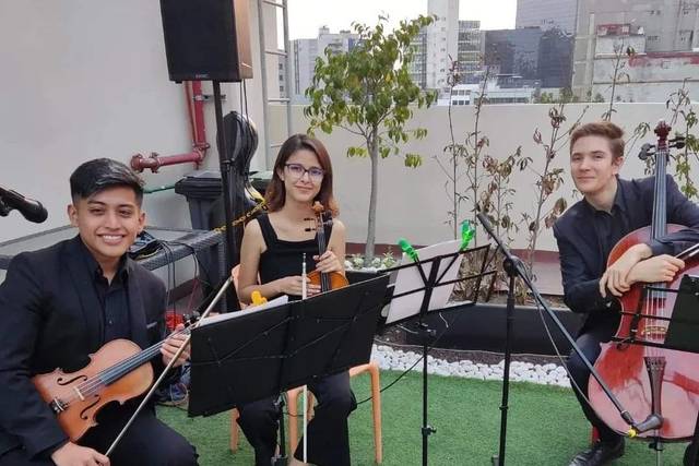 Amenización fiesta en terraza