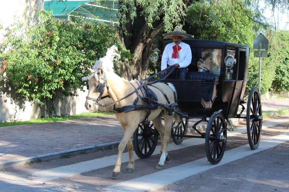 Rentería Carruajes