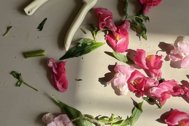 Flor