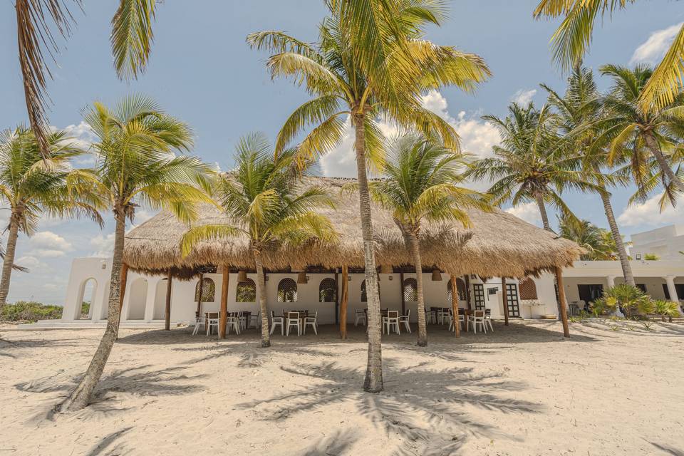 Palapa eventos