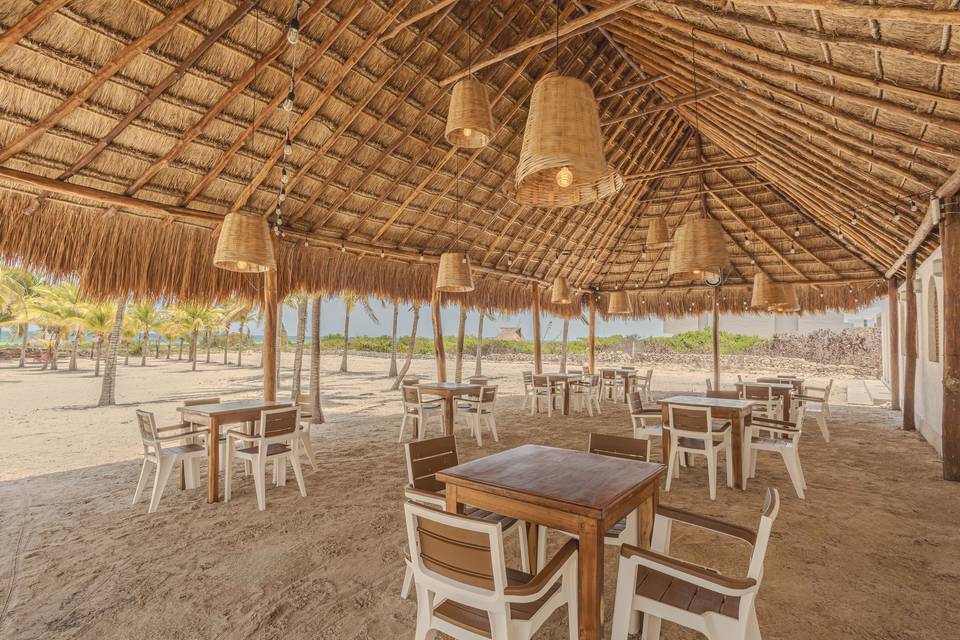 Palapa