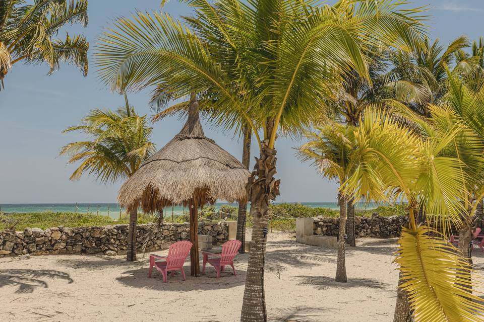 Palapas happenings