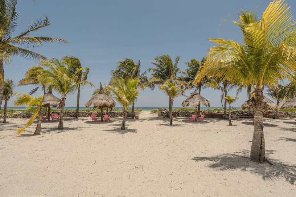 Palmar