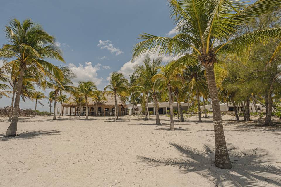Area de palmar