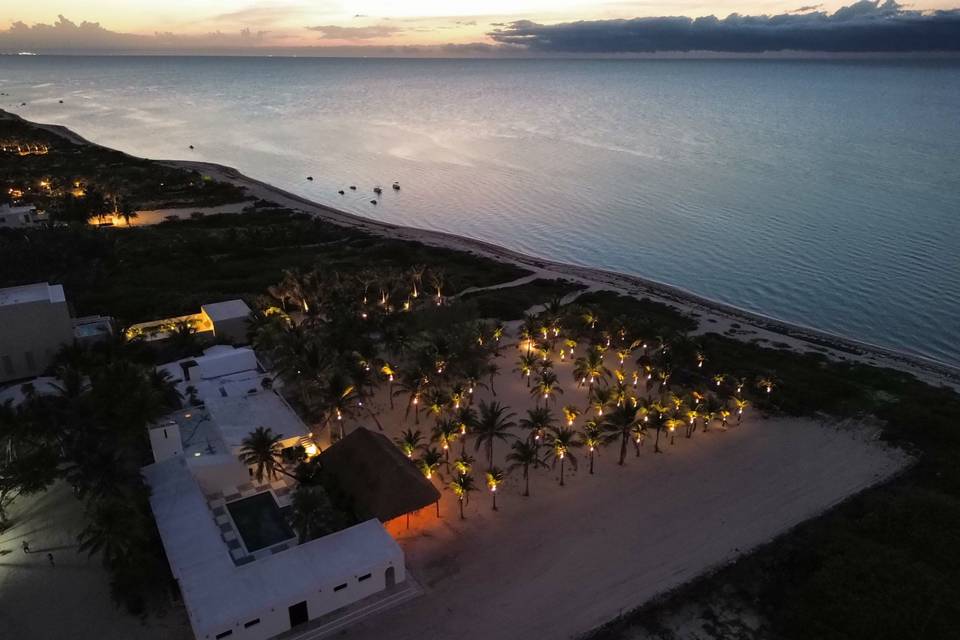 Palmar