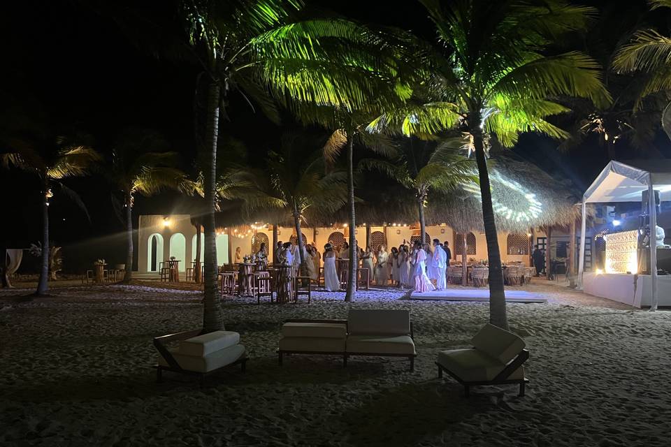Palapa