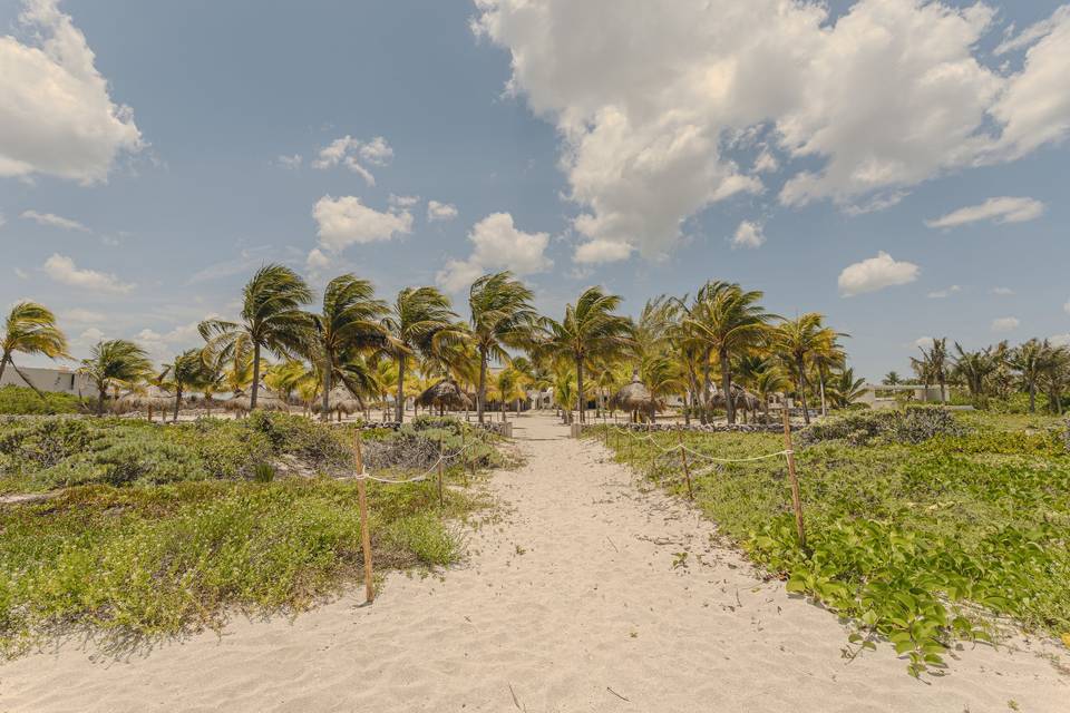 Vista palmar