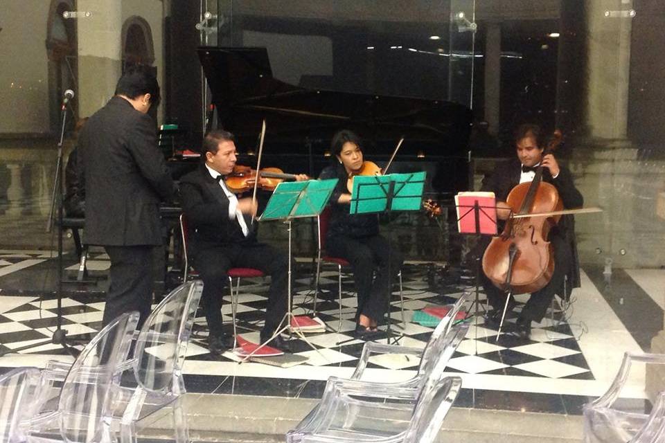 Violines Scala