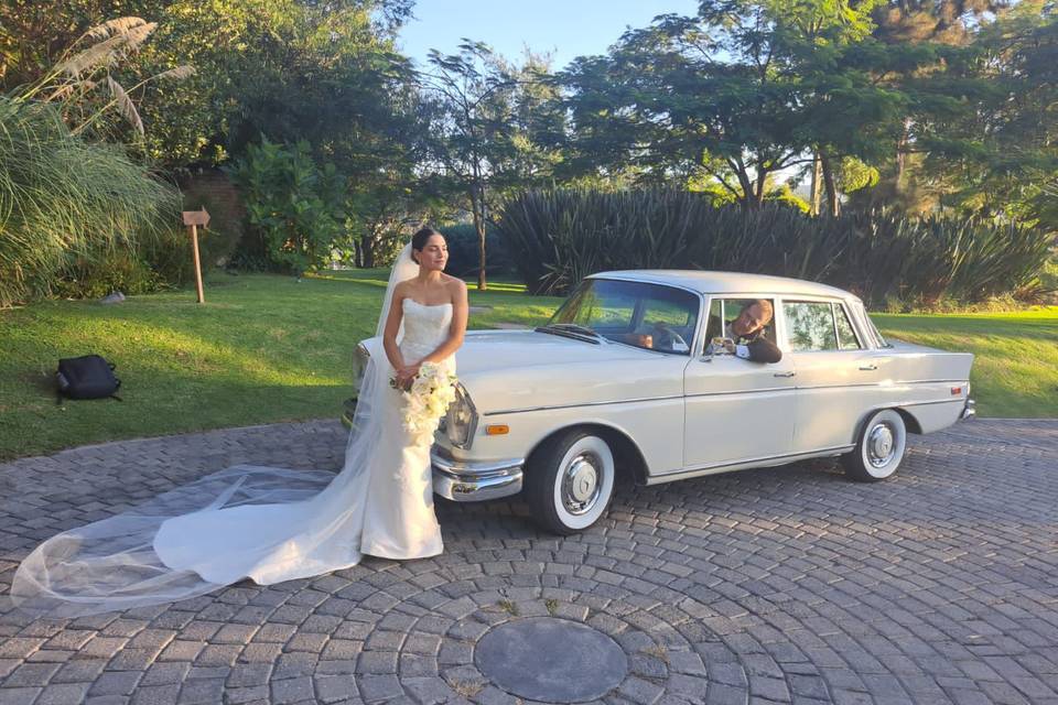 Mercedes benz 220-s 1960