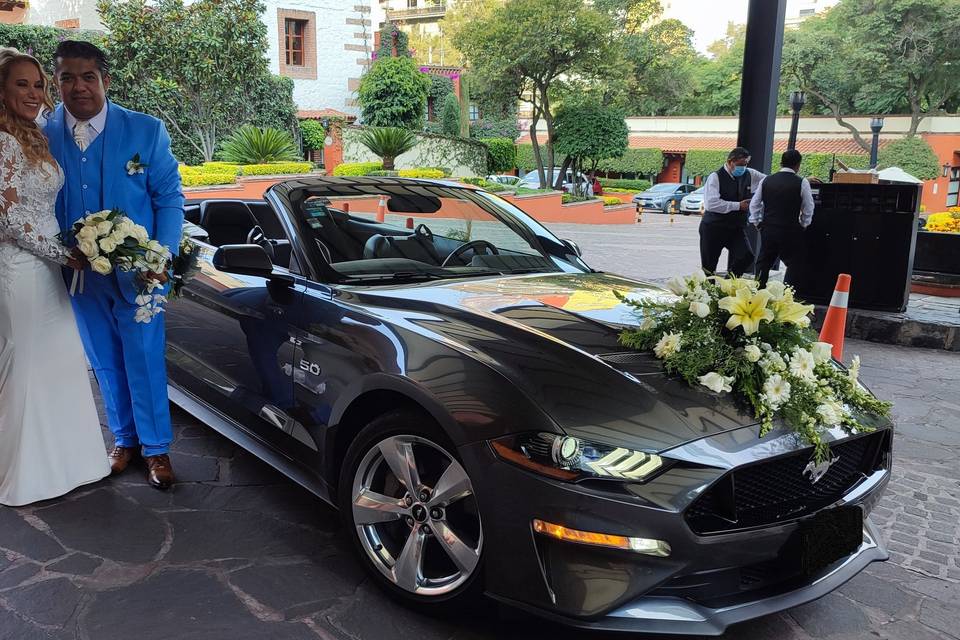 Nuestros clientes