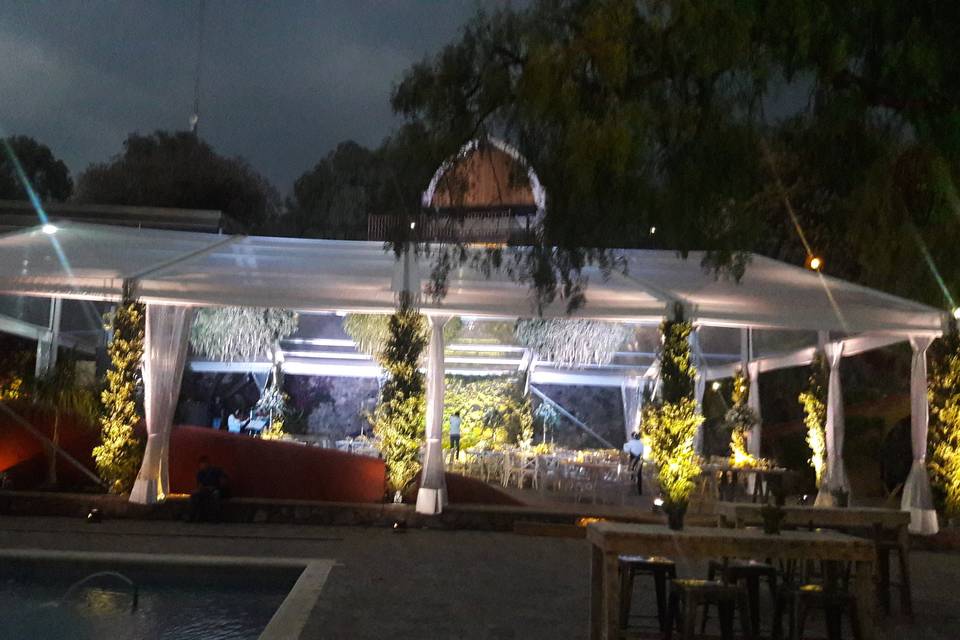 Carpa cristal