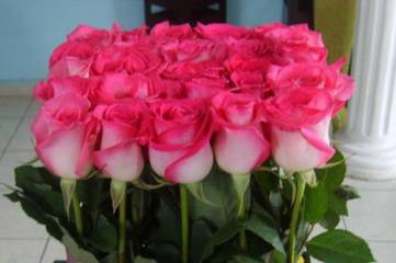 Flores rosadas