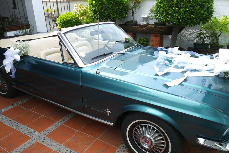 Mustang convertible 1967